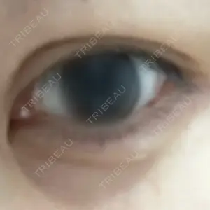 口コミ