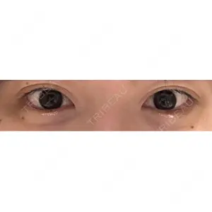口コミ