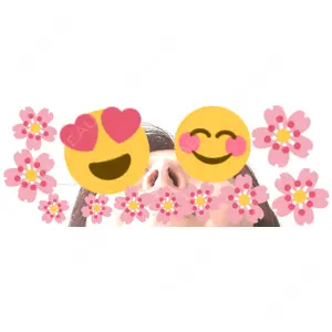 口コミ
