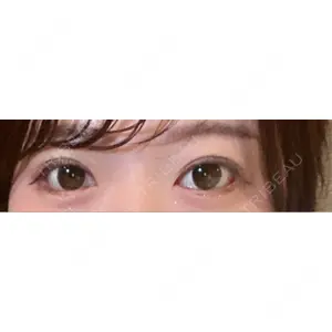 口コミ