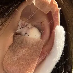 口コミ