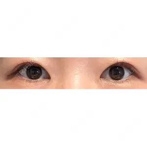 口コミ