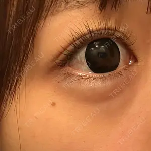 口コミ