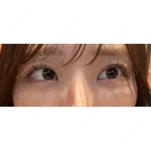 口コミ