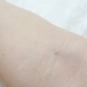 口コミ