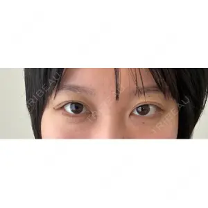 口コミ