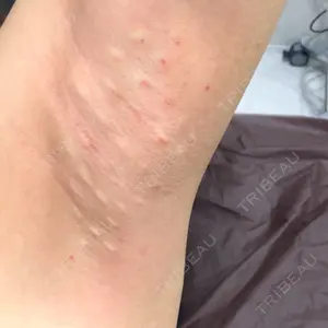 口コミ