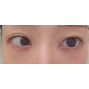 口コミ