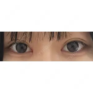 口コミ