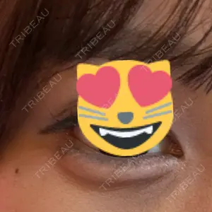 口コミ