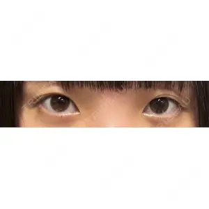 口コミ
