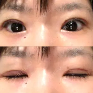 口コミ
