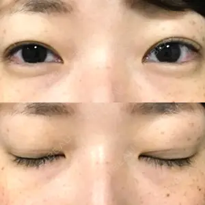 口コミ