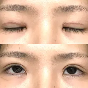 口コミ