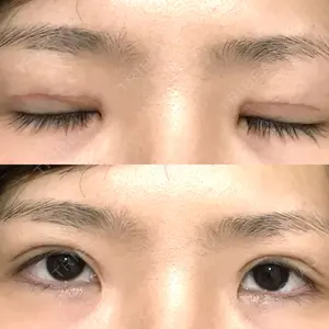 口コミ