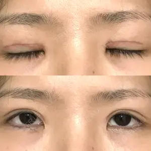 口コミ