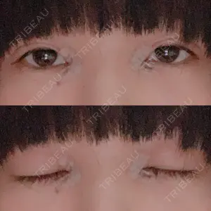 口コミ