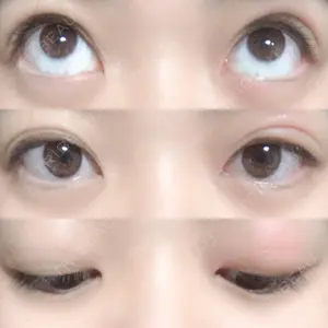 口コミ