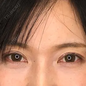 口コミ