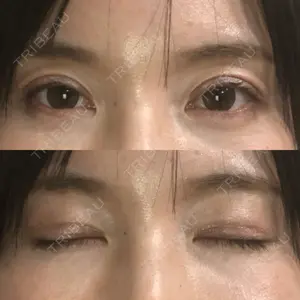口コミ