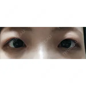 口コミ