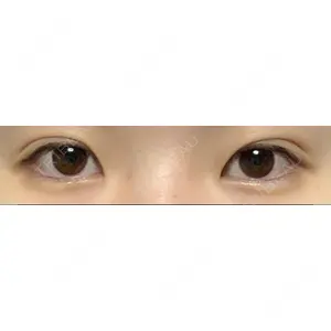 口コミ