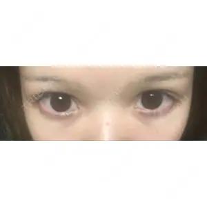 口コミ