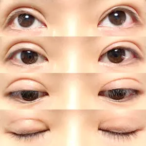 口コミ