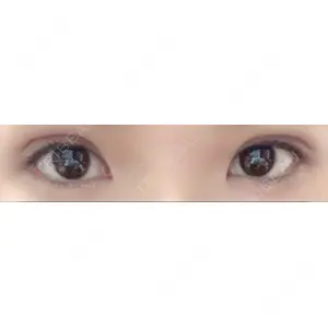 口コミ