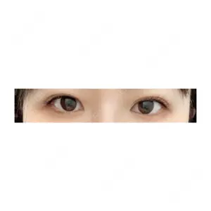 口コミ