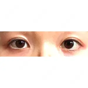 口コミ