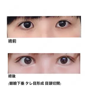口コミ