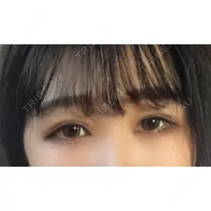 口コミ