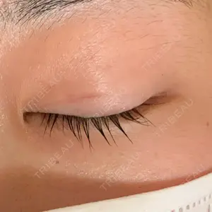 口コミ