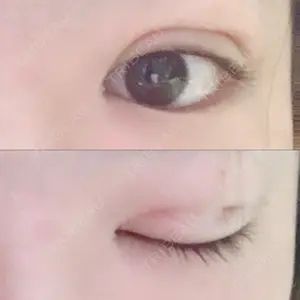 口コミ