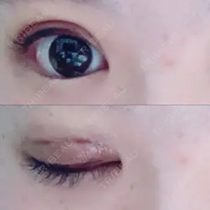 口コミ