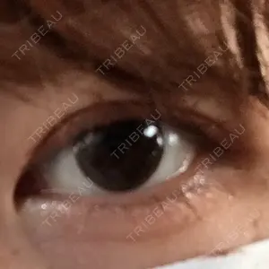 湘南美容クリニック 湘南美容クリニック 京都院口コミ