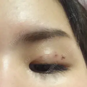口コミ