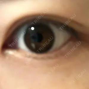 口コミ