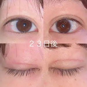 口コミ