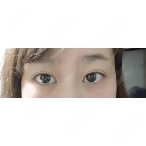 口コミ