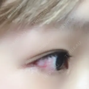 口コミ