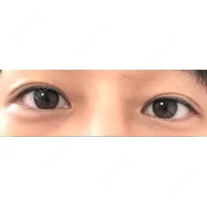 口コミ