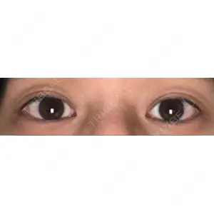 口コミ