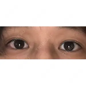 口コミ