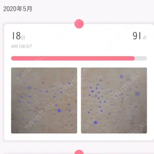口コミ