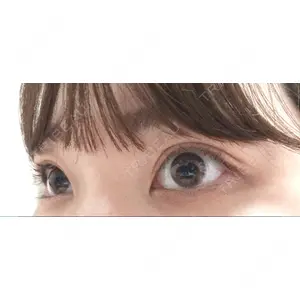 口コミ