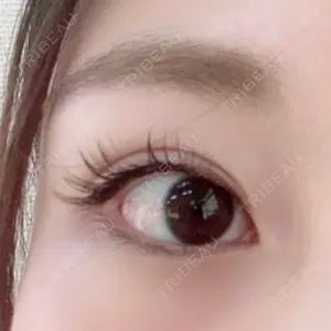 口コミ