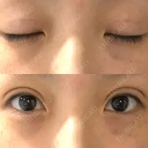 口コミ