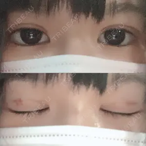 口コミ